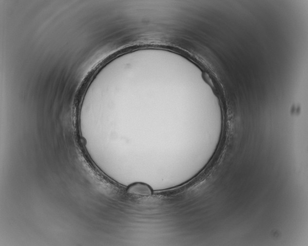 X0000110760981200907131206