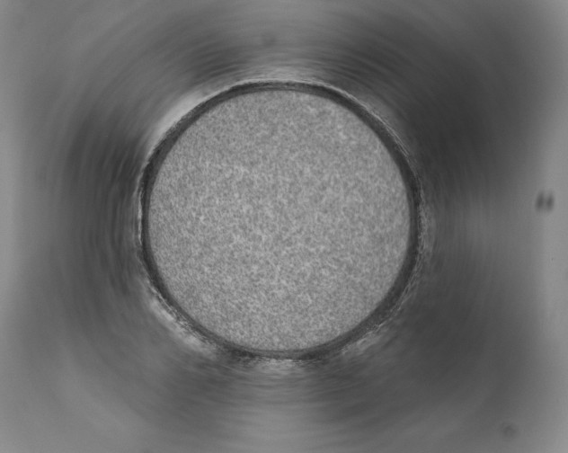 X0000110760982200907131206