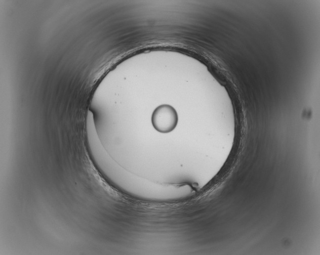 X0000110760985200907131206