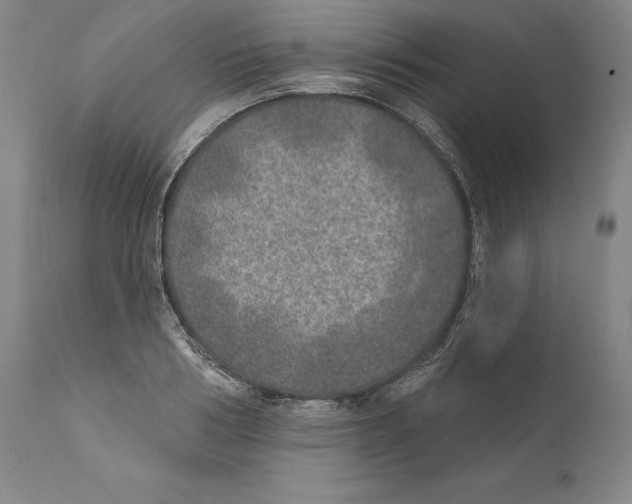 X0000110760986200907131206