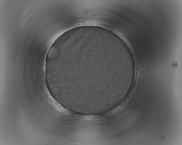 X0000110760988200907131206