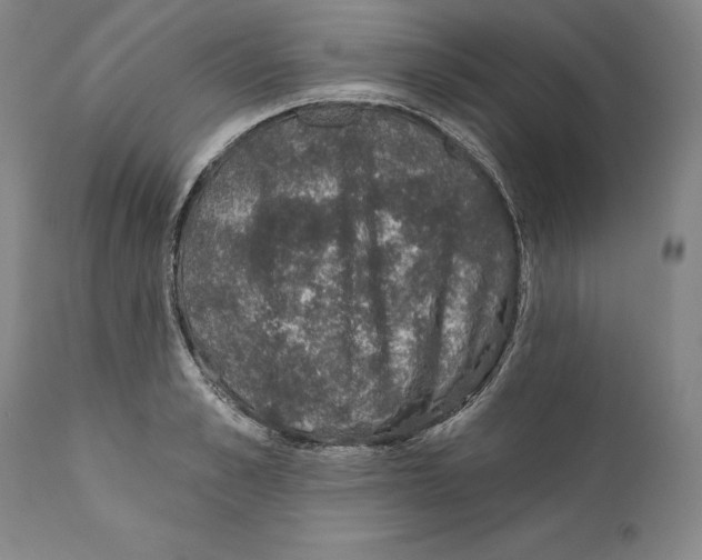 X0000110760989200907131206