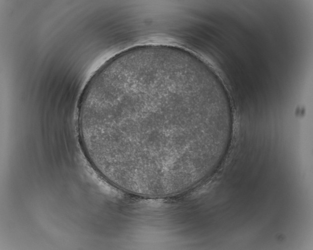 X0000110760990200907131206