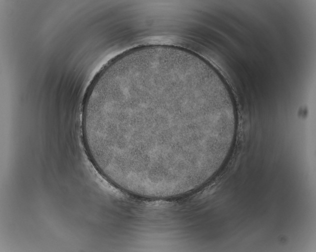 X0000110760992200907131206