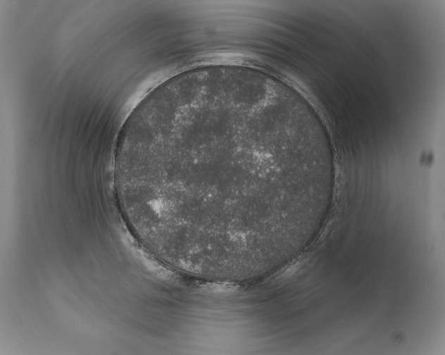 X0000110760994200907131205