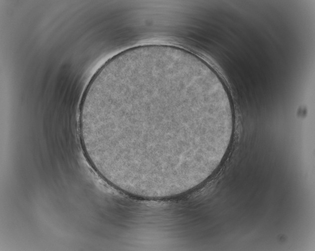 X0000110760996200907131205