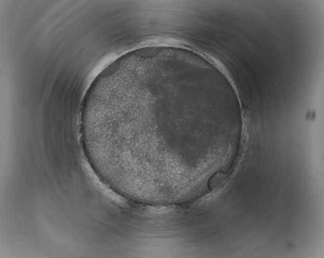 X0000110760997200907131205