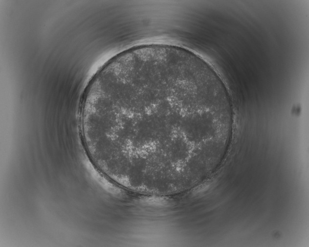 X0000110760998200907131205