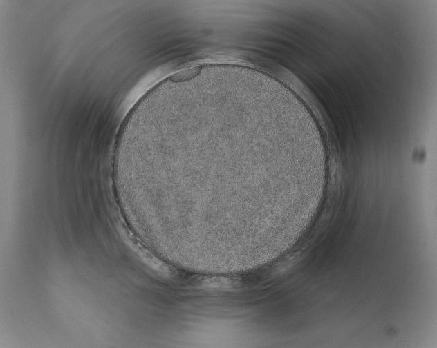 X0000110761002200907131205