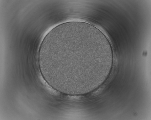 X0000110761004200907131205