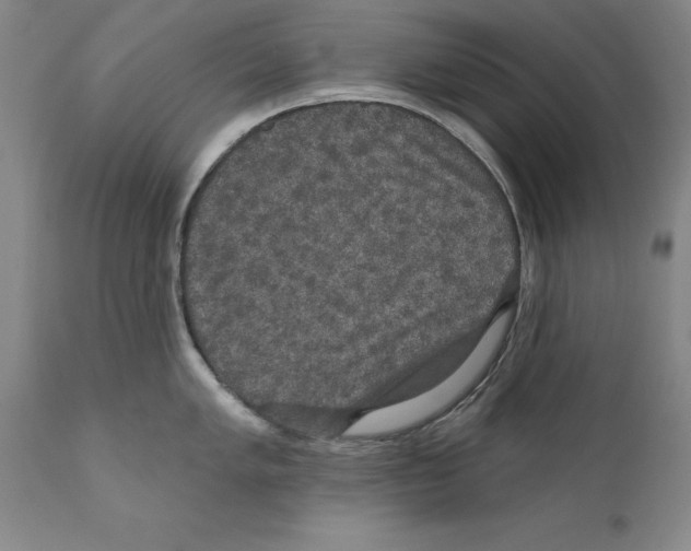 X0000110761005200907131205