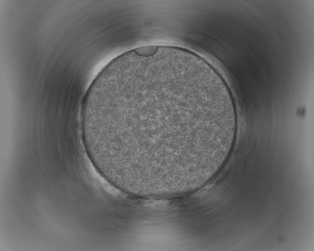 X0000110761006200907131205