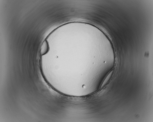 X0000110761007200907131205