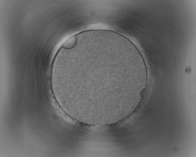 X0000110761008200907131205