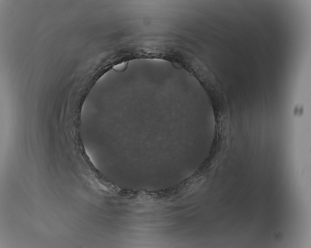 X0000110761009200907131204