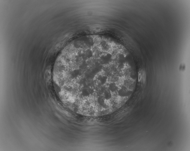 X0000110761011200907131204