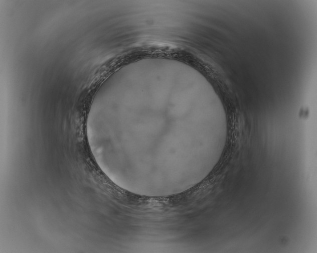 X0000110761013200907131204