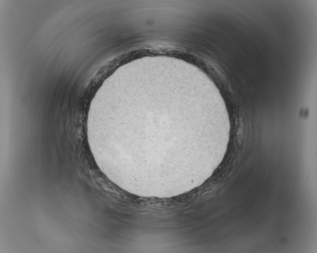 X0000110761016200907131204