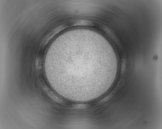 X0000110761017200907131204