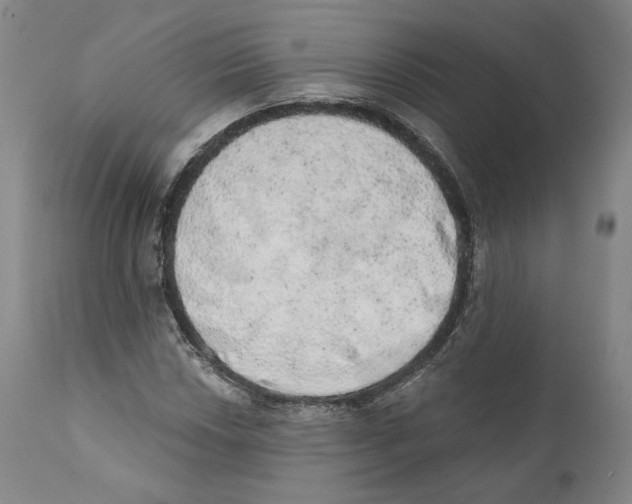 X0000110761018200907131204