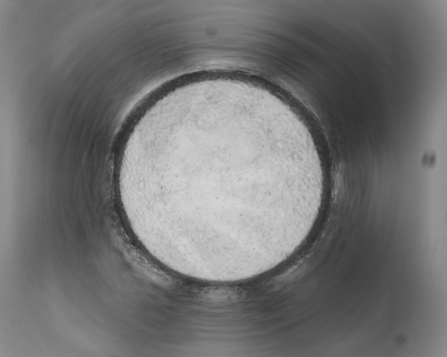 X0000110761021200907131205