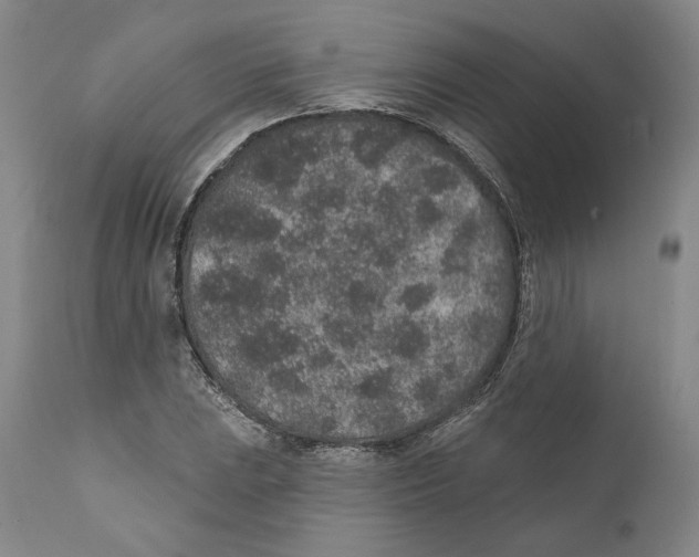 X0000110761023200907131205