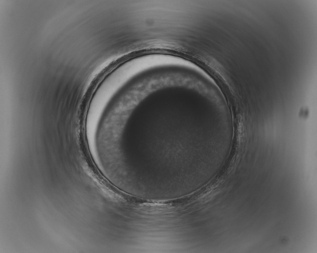 X0000110761024200907131205