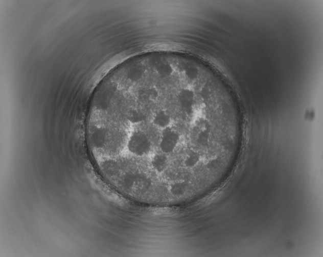 X0000110761025200907131205