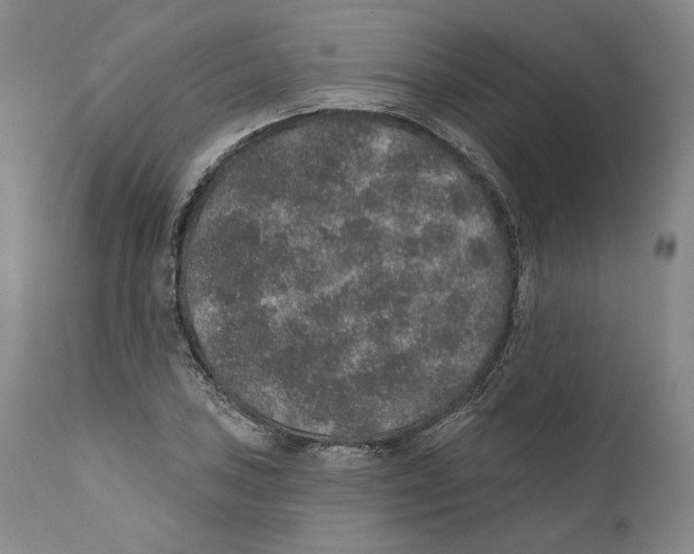 X0000110761027200907131205