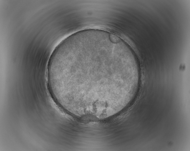 X0000110761028200907131205