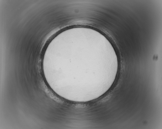 X0000110761029200907131205