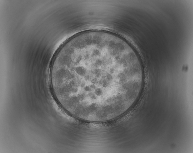 X0000110761032200907131205