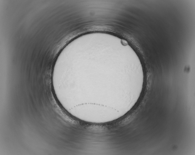 X0000110761033200907131205