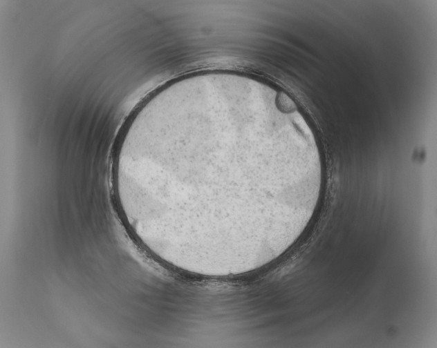 X0000110761034200907131205