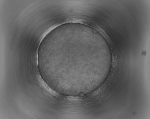 X0000110761036200907131205