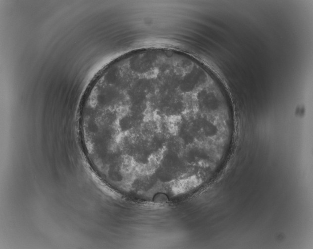 X0000110761037200907131205