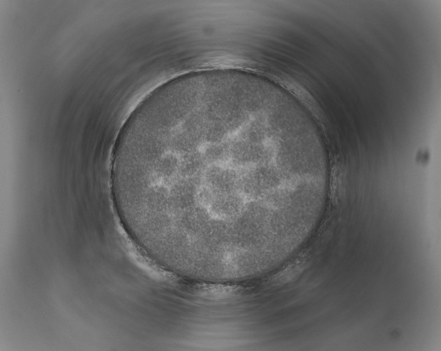 X0000110761039200907131205