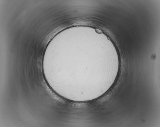 X0000110761041200907131205