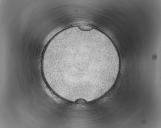 X0000110761042200907131205