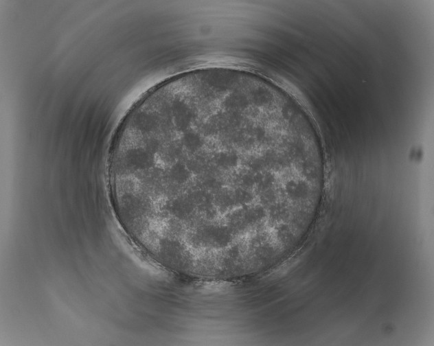 X0000110761043200907131205