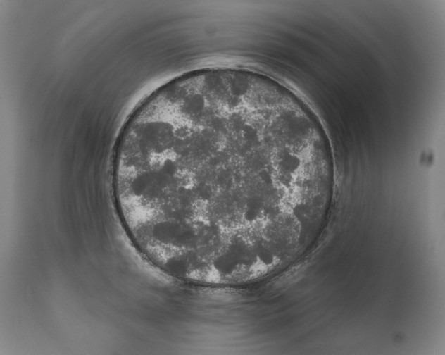 X0000110761045200907131205