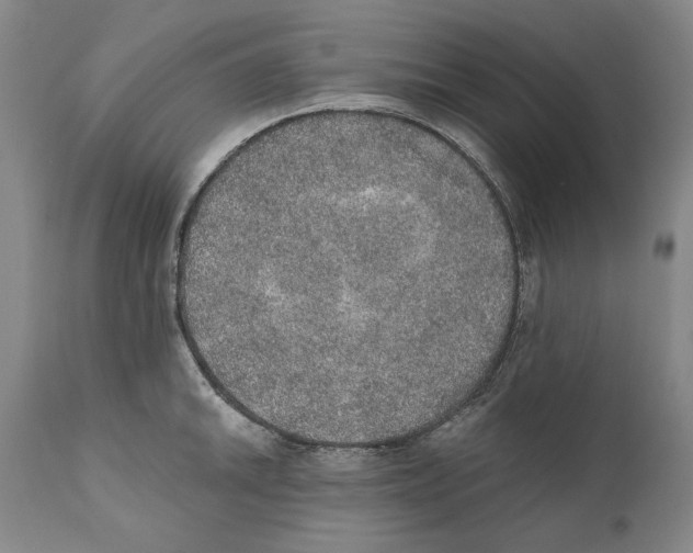 X0000110761046200907131205