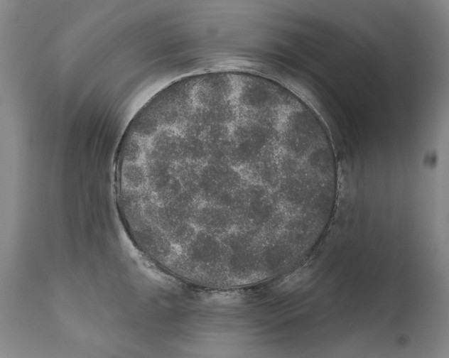 X0000110761047200907131205