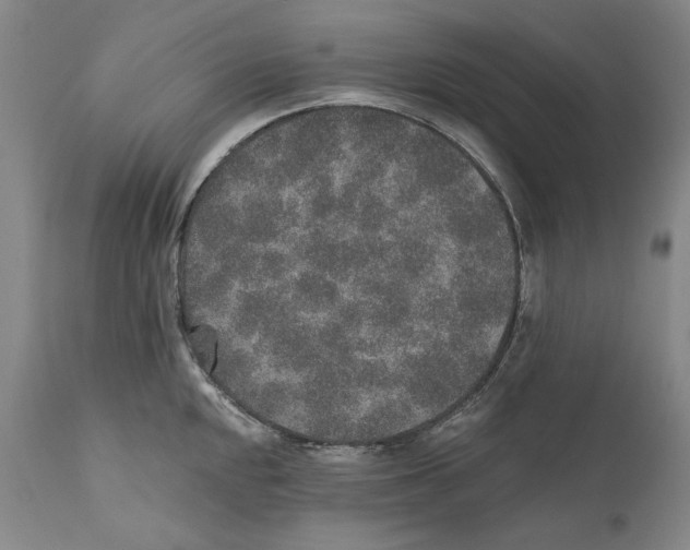 X0000110761048200907131205