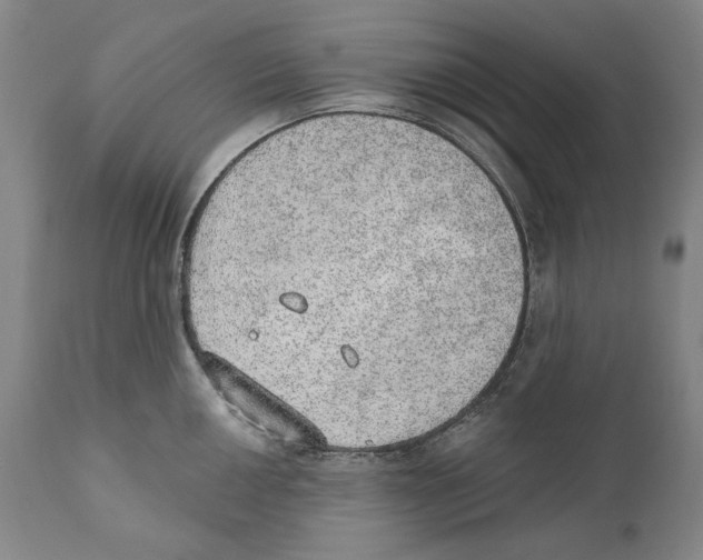 X0000110761050200907131205