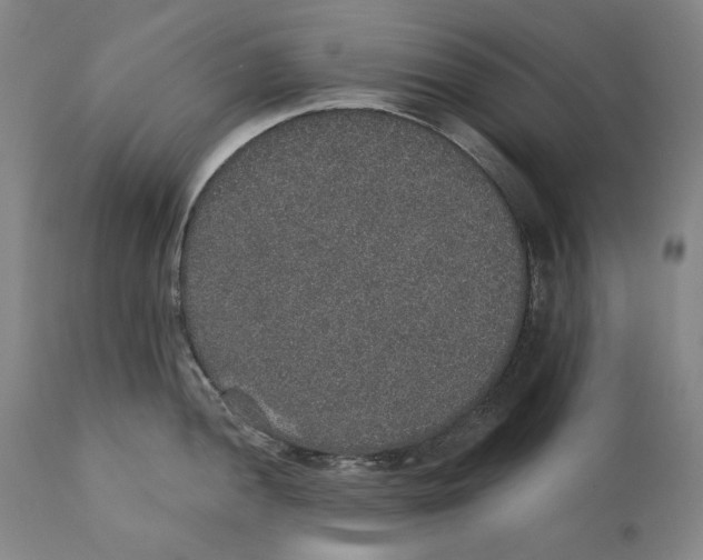 X0000110761052200907131205