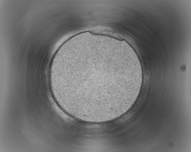 X0000110761054200907131205