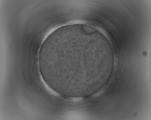 X0000110761055200907131205