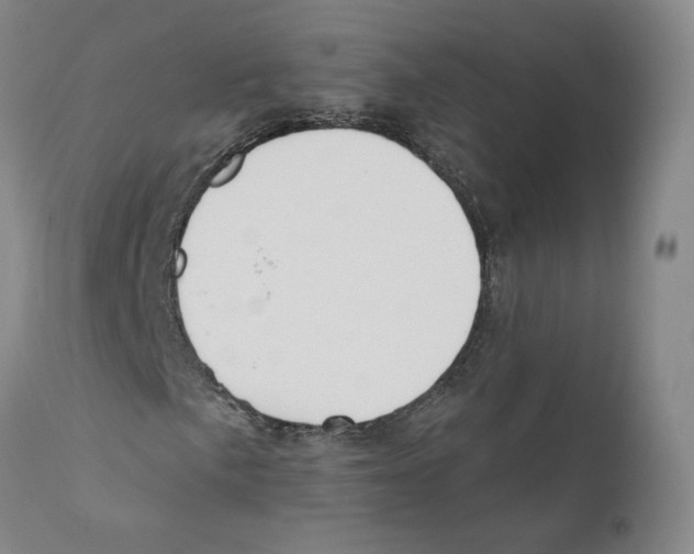 X0000110761057200907131204