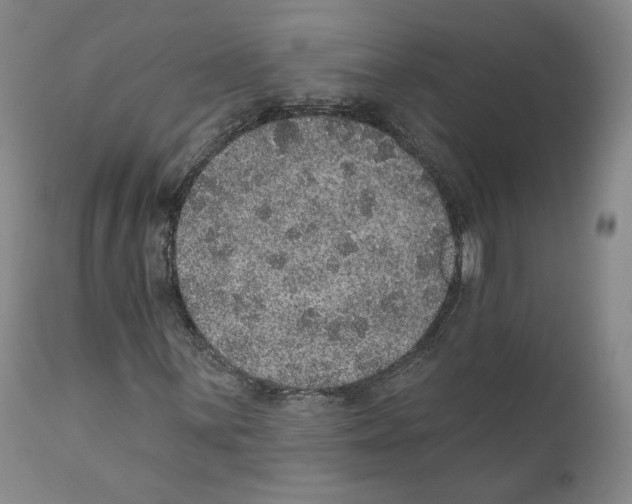 X0000110761059200907131204